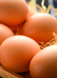 改善蛋壳品质